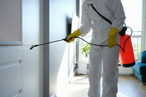 Reliable Stapleton, AL Pest Control Solutions